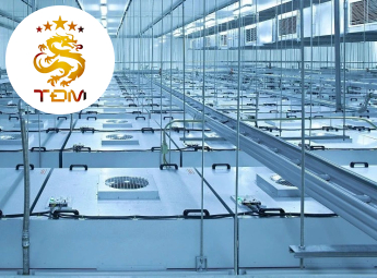 Thiết bị phòng sạch 2025: Xu hướng công nghệ và nhu cầu thị trường